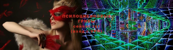 mdma Коряжма