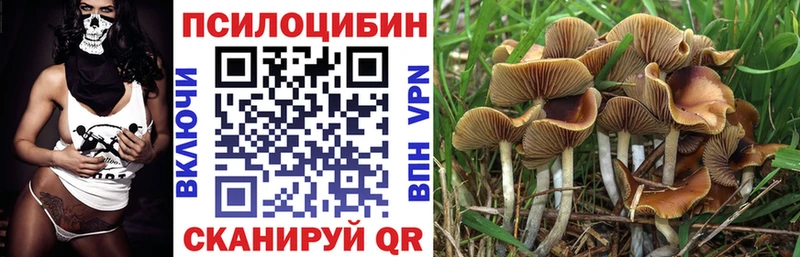 Псилоцибиновые грибы MAGIC MUSHROOMS  Купить закладки  Шацк 