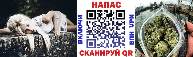 Бошки Шишки SATIVA & INDICA Шацк
